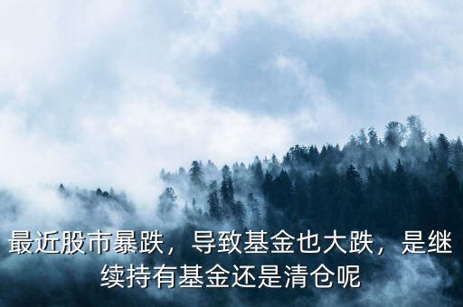 最近股市暴跌，導(dǎo)致基金也大跌，是繼續(xù)持有基金還是清倉呢