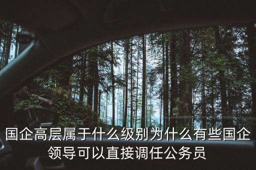 國企高層屬于什么級別為什么有些國企領導可以直接調任公務員