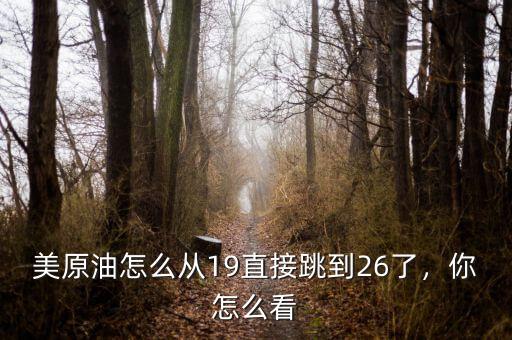 美原油怎么從19直接跳到26了，你怎么看