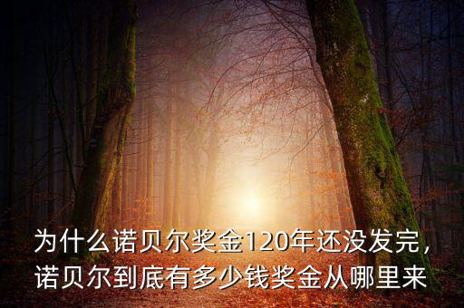 為什么諾貝爾獎(jiǎng)金120年還沒發(fā)完，諾貝爾到底有多少錢獎(jiǎng)金從哪里來