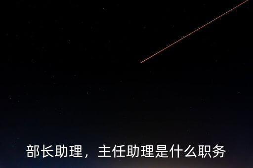 部長助理，主任助理是什么職務(wù)