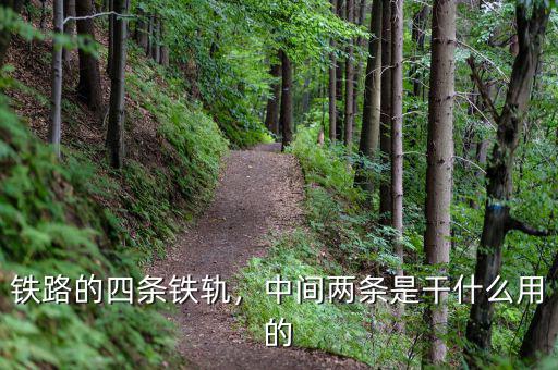 鐵路的四條鐵軌，中間兩條是干什么用的