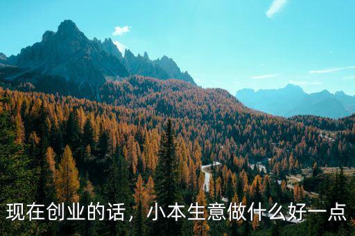 現(xiàn)在創(chuàng)業(yè)的話，小本生意做什么好一點