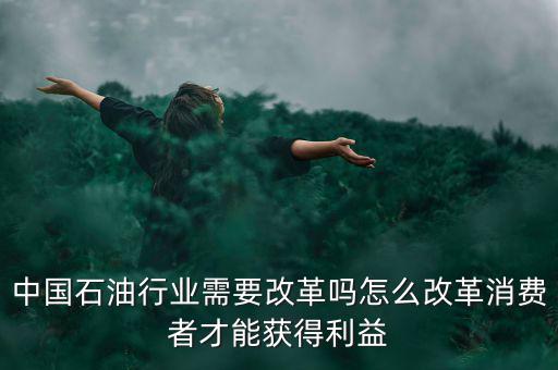 中國石油行業(yè)需要改革嗎怎么改革消費者才能獲得利益