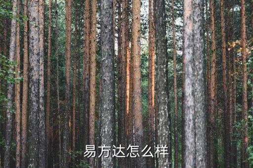 易方達(dá)怎么樣