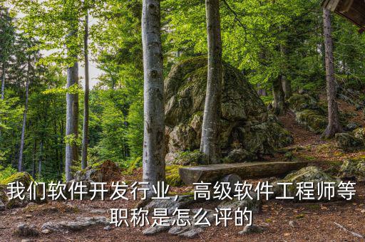 我們軟件開(kāi)發(fā)行業(yè)，高級(jí)軟件工程師等職稱(chēng)是怎么評(píng)的
