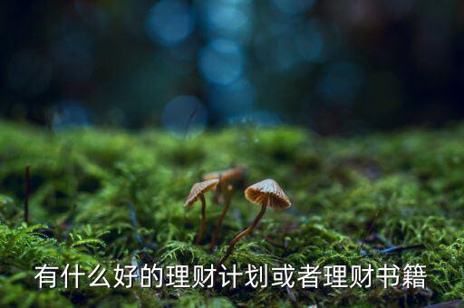 有什么好的理財(cái)計(jì)劃或者理財(cái)書(shū)籍