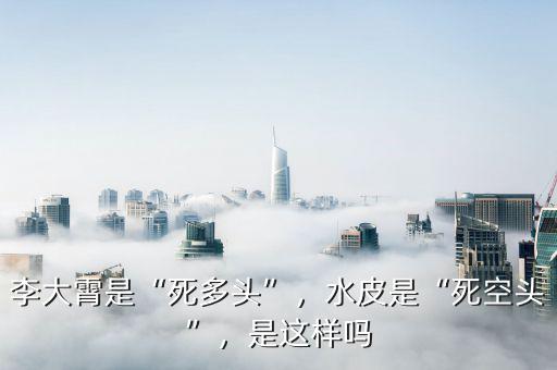 李大霄是“死多頭”，水皮是“死空頭”，是這樣嗎