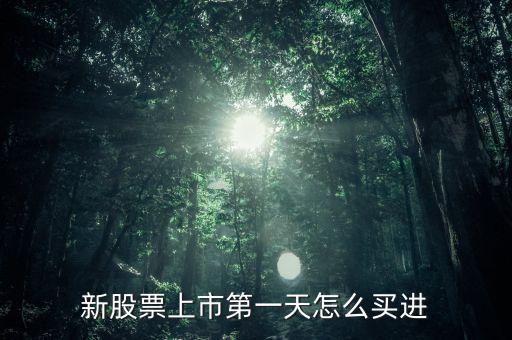 新股票上市第一天怎么買進