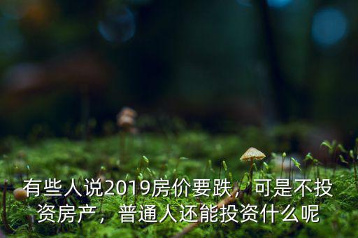 有些人說2019房價(jià)要跌，可是不投資房產(chǎn)，普通人還能投資什么呢