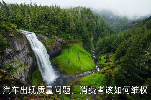 汽車出現(xiàn)質(zhì)量問題，消費者該如何維權(quán)