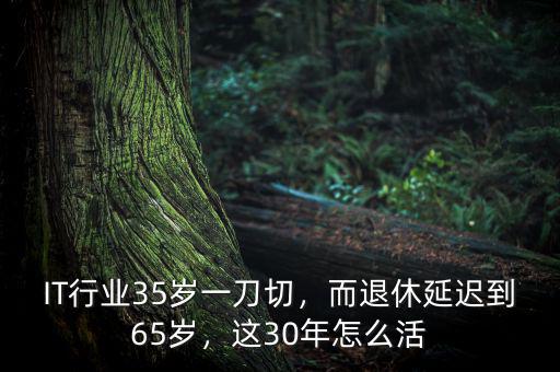 IT行業(yè)35歲一刀切，而退休延遲到65歲，這30年怎么活