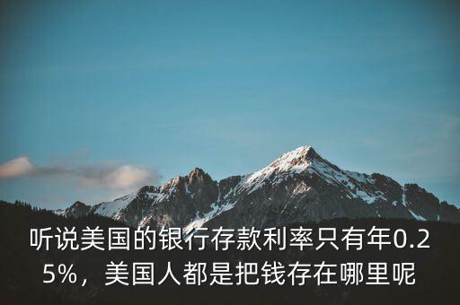 聽(tīng)說(shuō)美國(guó)的銀行存款利率只有年0.25%，美國(guó)人都是把錢(qián)存在哪里呢