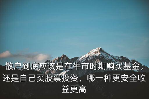 散戶到底應(yīng)該是在牛市時(shí)期購買基金，還是自己買股票投資，哪一種更安全收益更高