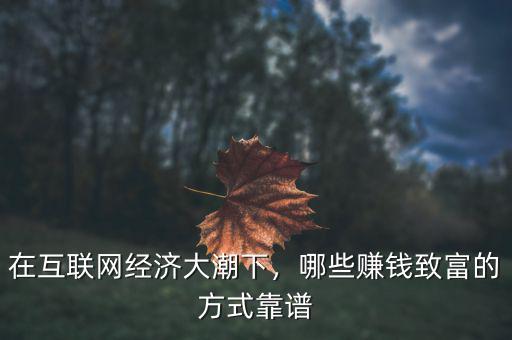 互聯(lián)網(wǎng)經(jīng)濟怎么賺錢,互聯(lián)網(wǎng)創(chuàng)業(yè)靠什么賺錢