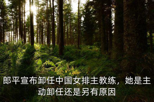 郎平宣布卸任中國女排主教練，她是主動卸任還是另有原因