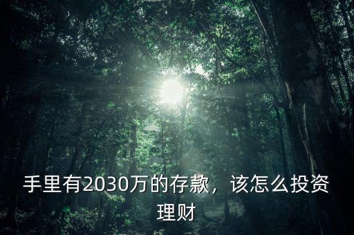 手里有2030萬(wàn)的存款，該怎么投資理財(cái)