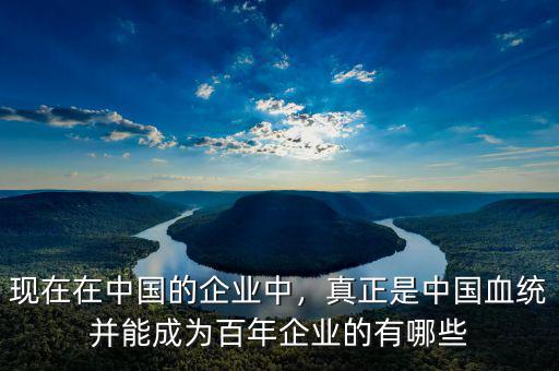 現(xiàn)在在中國的企業(yè)中，真正是中國血統(tǒng)并能成為百年企業(yè)的有哪些