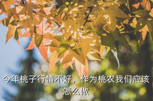 今年桃子行情不好，作為桃農我們應該怎么做