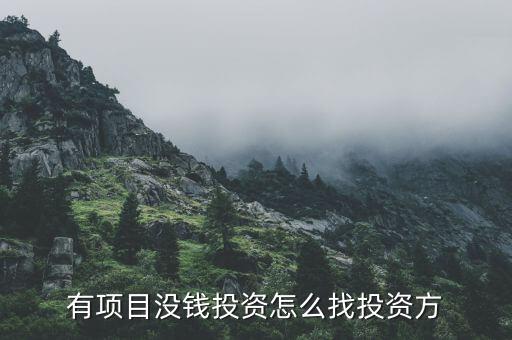 有項(xiàng)目沒錢投資怎么找投資方