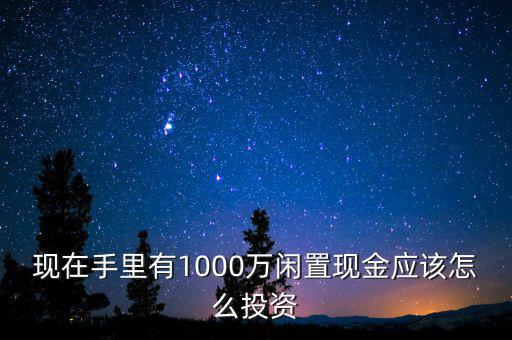 現(xiàn)在手里有1000萬閑置現(xiàn)金應該怎么投資