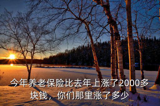 今年養(yǎng)老保險比去年上漲了2000多塊錢，你們那里漲了多少