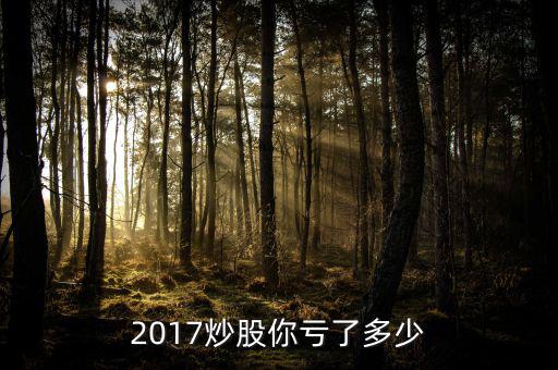 2017炒股你虧了多少