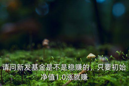 請問新發(fā)基金是不是穩(wěn)賺的，只要初始凈值1.0漲就賺