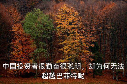 中國投資者很勤奮很聰明，卻為何無法超越巴菲特呢
