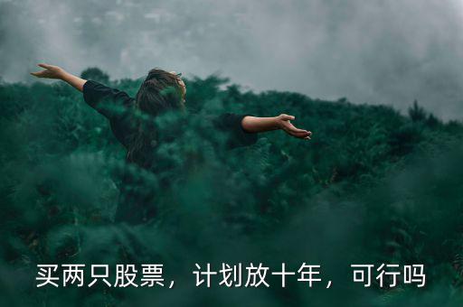 買兩只股票，計(jì)劃放十年，可行嗎