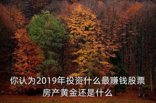 你認為2019年投資什么最賺錢股票房產(chǎn)黃金還是什么