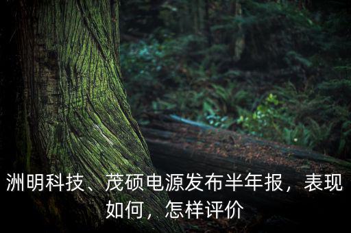 洲明科技、茂碩電源發(fā)布半年報，表現(xiàn)如何，怎樣評價