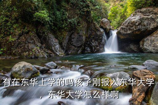 有在東華上學(xué)的嗎孩子剛報入東華大學(xué)，東華大學(xué)怎么樣啊