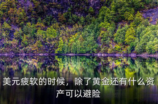 美元疲軟的時候，除了黃金還有什么資產(chǎn)可以避險