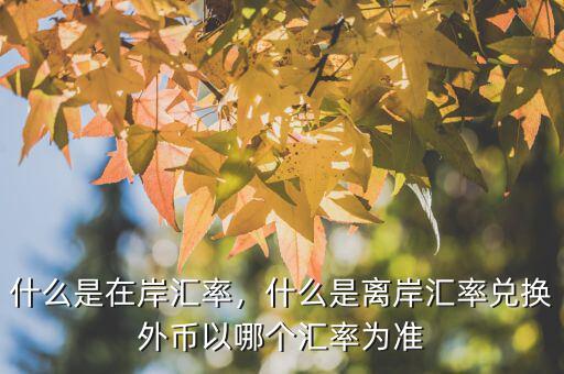 什么是在岸匯率，什么是離岸匯率兌換外幣以哪個匯率為準