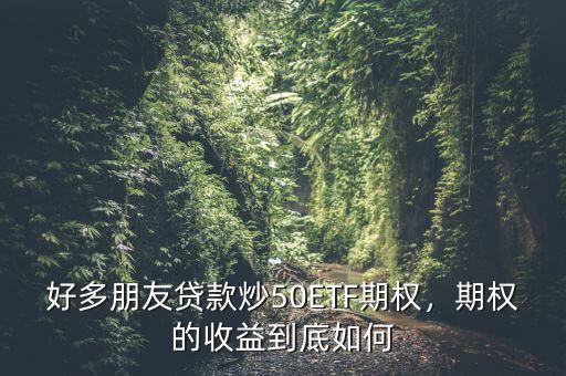 好多朋友貸款炒50ETF期權，期權的收益到底如何