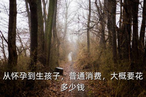 從懷孕到生孩子，普通消費，大概要花多少錢