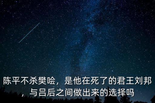 陳平怎么死的,大家怎么看陳平教授