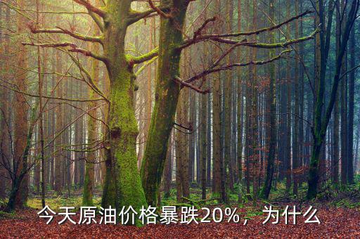 今天原油價格暴跌20%，為什么