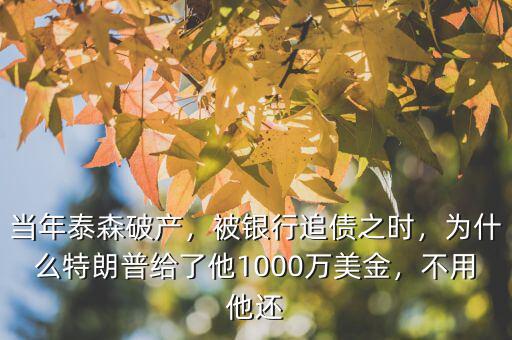 當(dāng)年泰森破產(chǎn)，被銀行追債之時(shí)，為什么特朗普給了他1000萬美金，不用他還