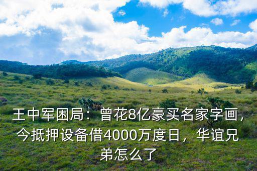 王中軍困局：曾花8億豪買(mǎi)名家字畫(huà)，今抵押設(shè)備借4000萬(wàn)度日，華誼兄弟怎么了