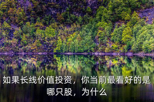 如果長線價值投資，你當前最看好的是哪只股，為什么