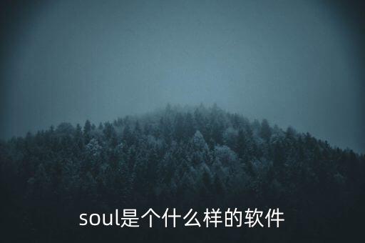 soul是個什么樣的軟件