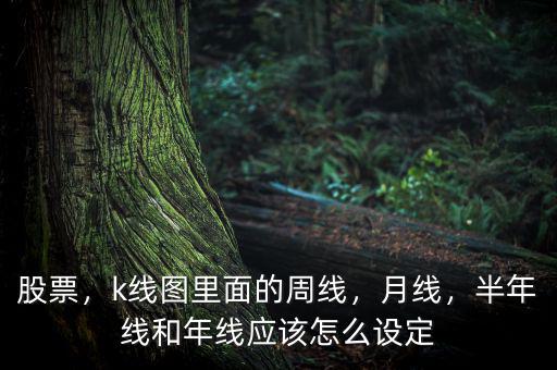 股票，k線圖里面的周線，月線，半年線和年線應(yīng)該怎么設(shè)定