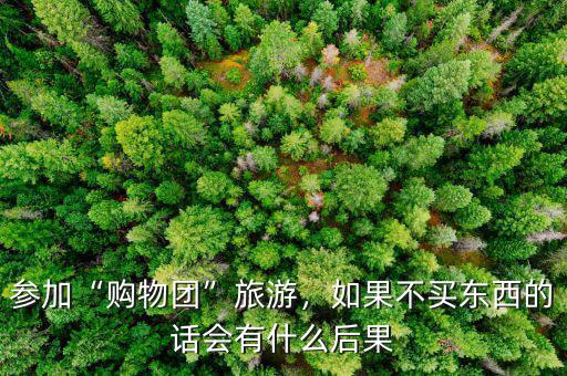 參加“購物團”旅游，如果不買東西的話會有什么后果