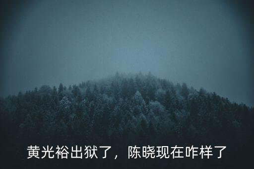 黃光裕出獄了，陳曉現(xiàn)在咋樣了