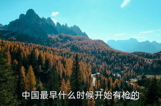 中國最早什么時候開始有槍的