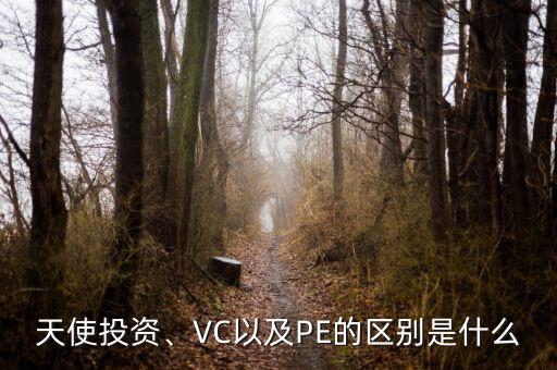 天使投資、VC以及PE的區(qū)別是什么