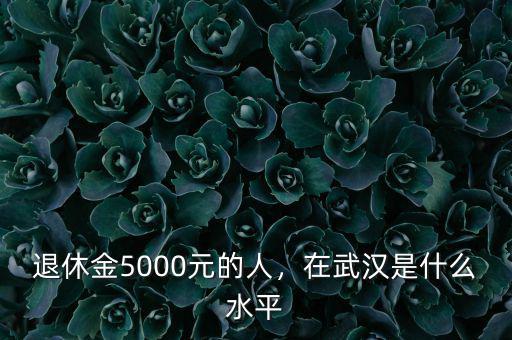 退休金5000元的人，在武漢是什么水平