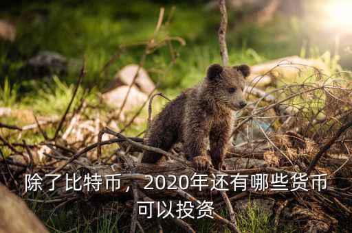 除了比特幣，2020年還有哪些貨幣可以投資